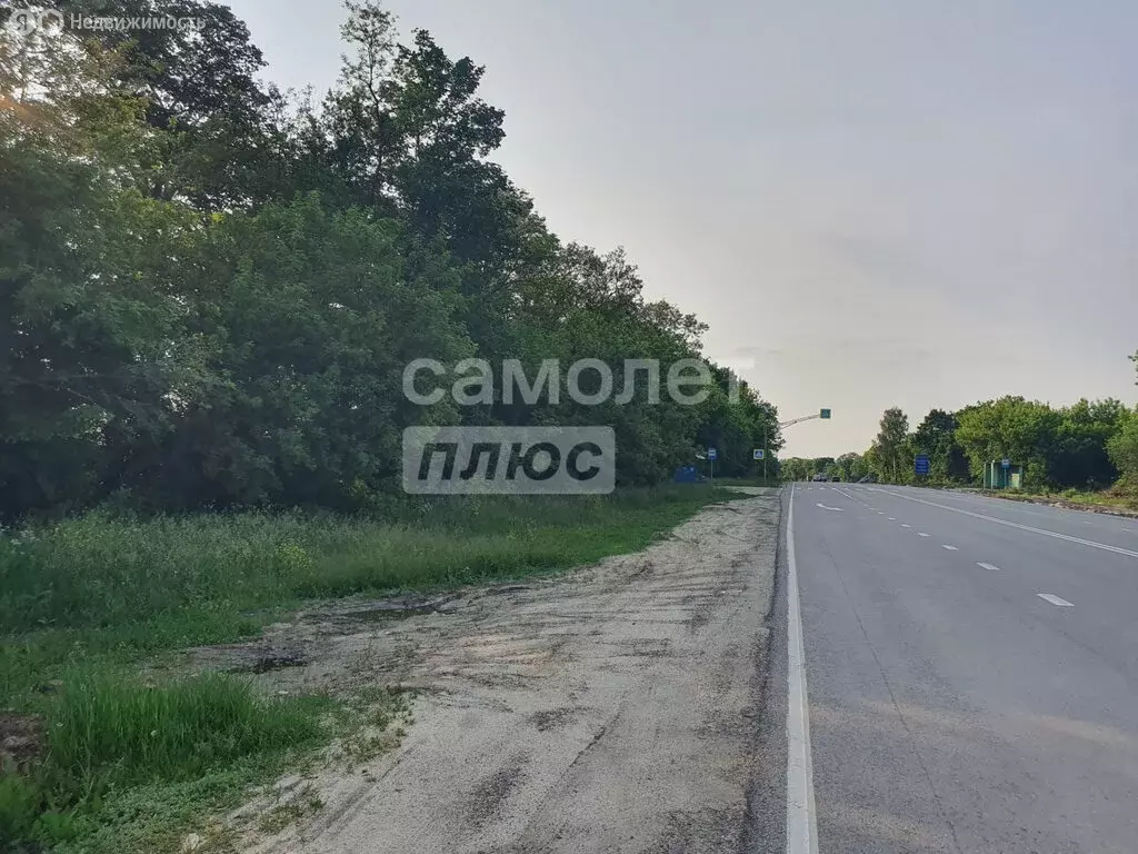 Участок в Курский район, Нижнемедведицкий сельсовет (6.5 м) - Фото 1