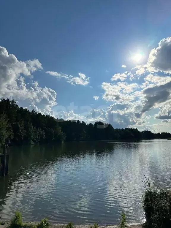 Участок в Свердловская область, Тугулымский муниципальный округ, с. ... - Фото 1