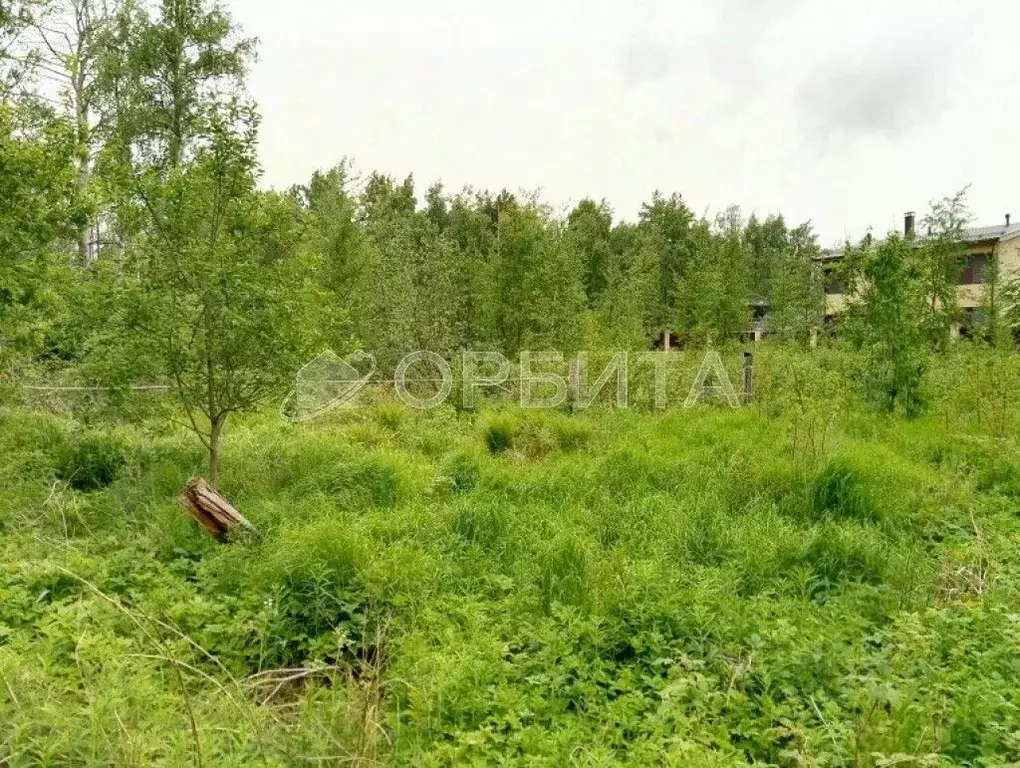 Участок в Тюменская область, Тюменский район, д. Ушакова, Молодежный ... - Фото 0