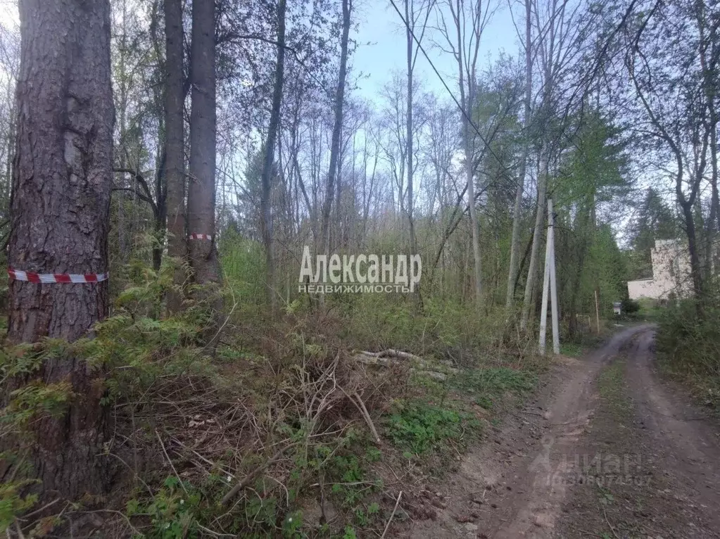 Участок в Ленинградская область, Всеволожский район, Агалатовское ... - Фото 1