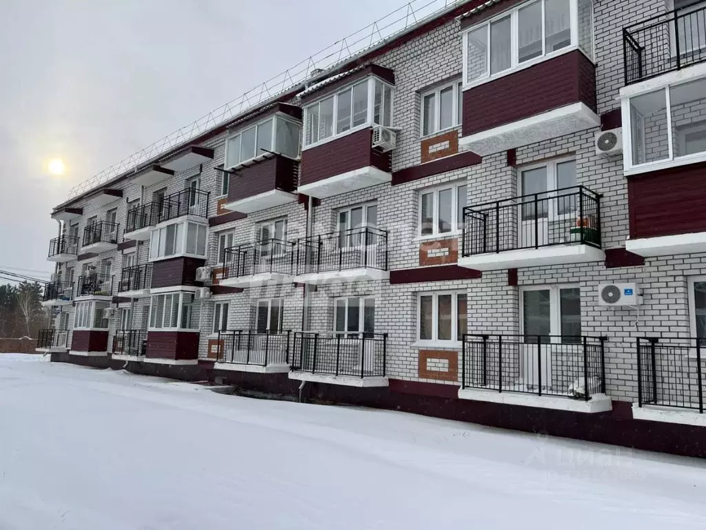 1-к кв. Амурская область, Благовещенский район, с. Чигири ул. ... - Фото 1