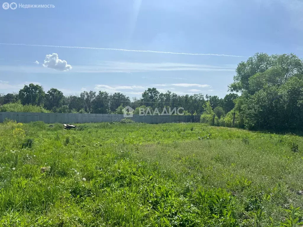 Участок в Московская область, городской округ Луховицы, деревня ... - Фото 0