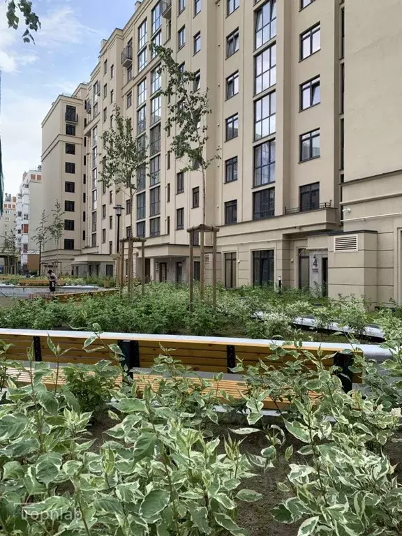 2-к кв. Калининградская область, Калининград ул. Старшины Дадаева, ... - Фото 1