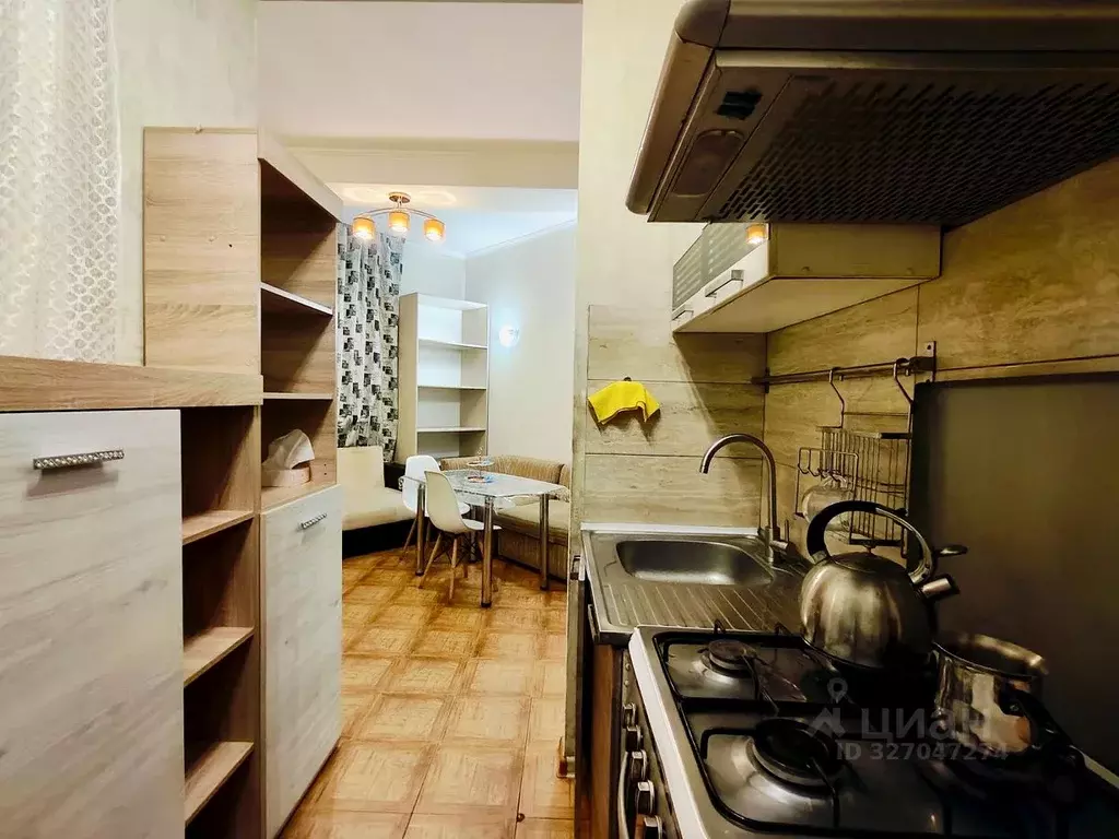 1-к кв. Краснодарский край, Сочи городской округ, с. Раздольное ул. ... - Фото 2