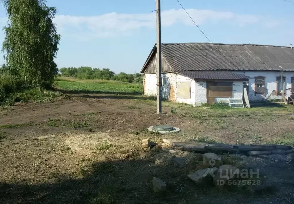 Участок в Тульская область, Богородицкий район, Товарковское ... - Фото 1