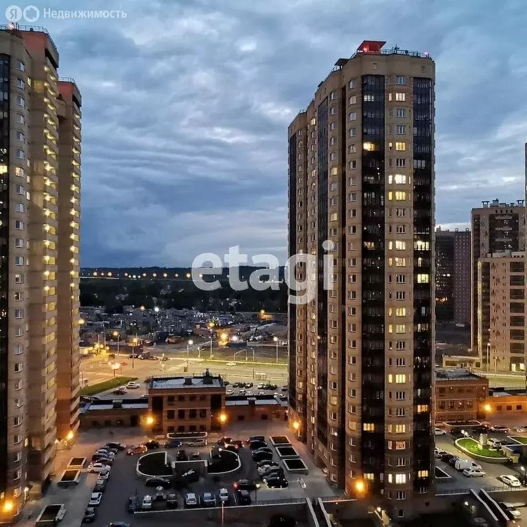 Квартира-студия: посёлок Парголово, Заречная улица, 41 (21.5 м) - Фото 2