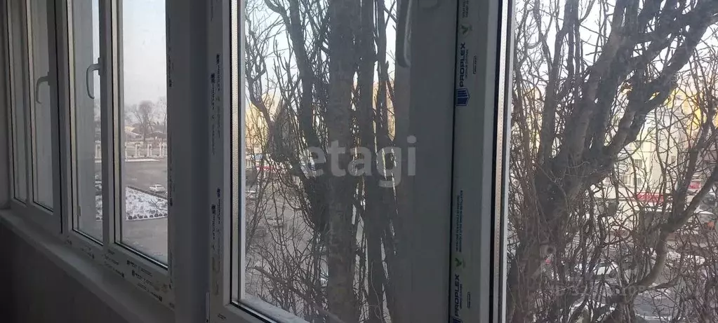 1-к кв. Липецкая область, Липецк ул. Зегеля, 27/1 (38.0 м) - Фото 2