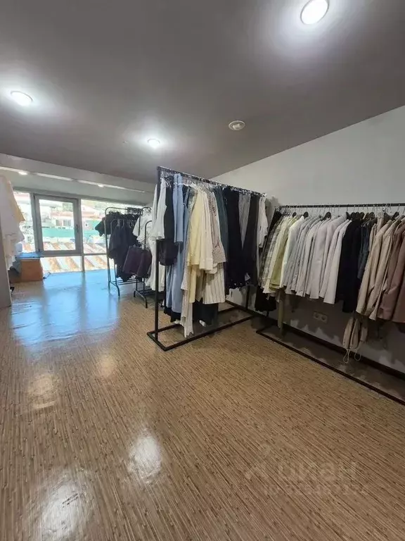 Помещение свободного назначения в Краснодарский край, Сочи Виноградный ... - Фото 1