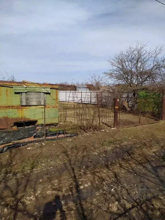 Участок в Саратовская область, Энгельсский район, Новопушкинское ... - Фото 0