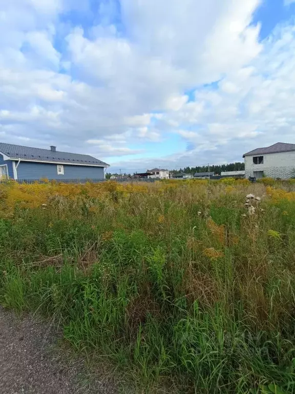 Участок в Московская область, Пушкинский городской округ, с. ... - Фото 2