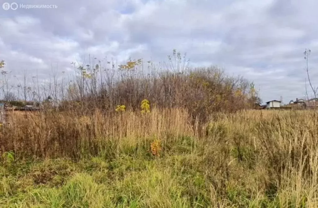 Участок в Нижегородская область, Володарский муниципальный округ, ... - Фото 1