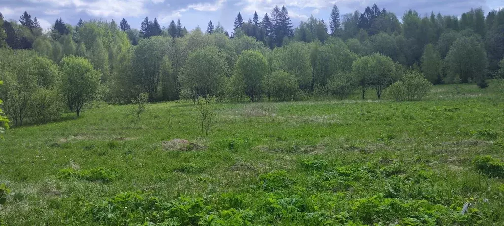 Участок в Московская область, Солнечногорск городской округ, д. Мостки ... - Фото 0