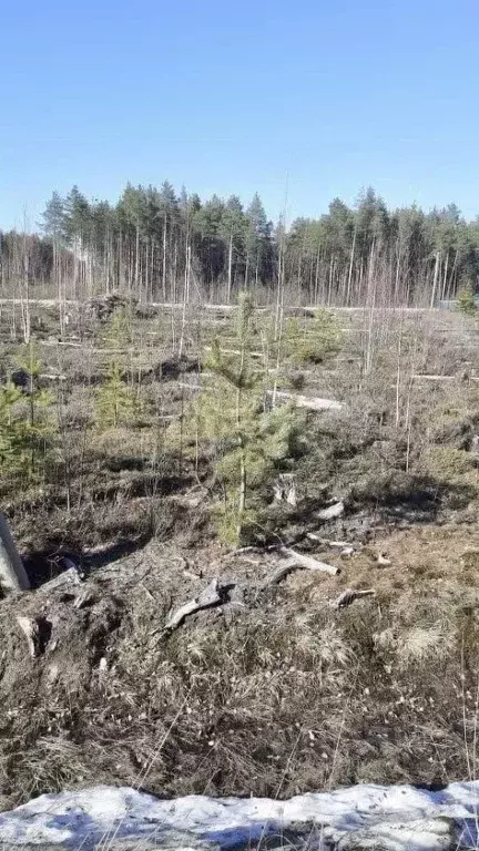 участок в коми, сыктывкар городской округ, краснозатонский пгт 3-я . - Фото 0