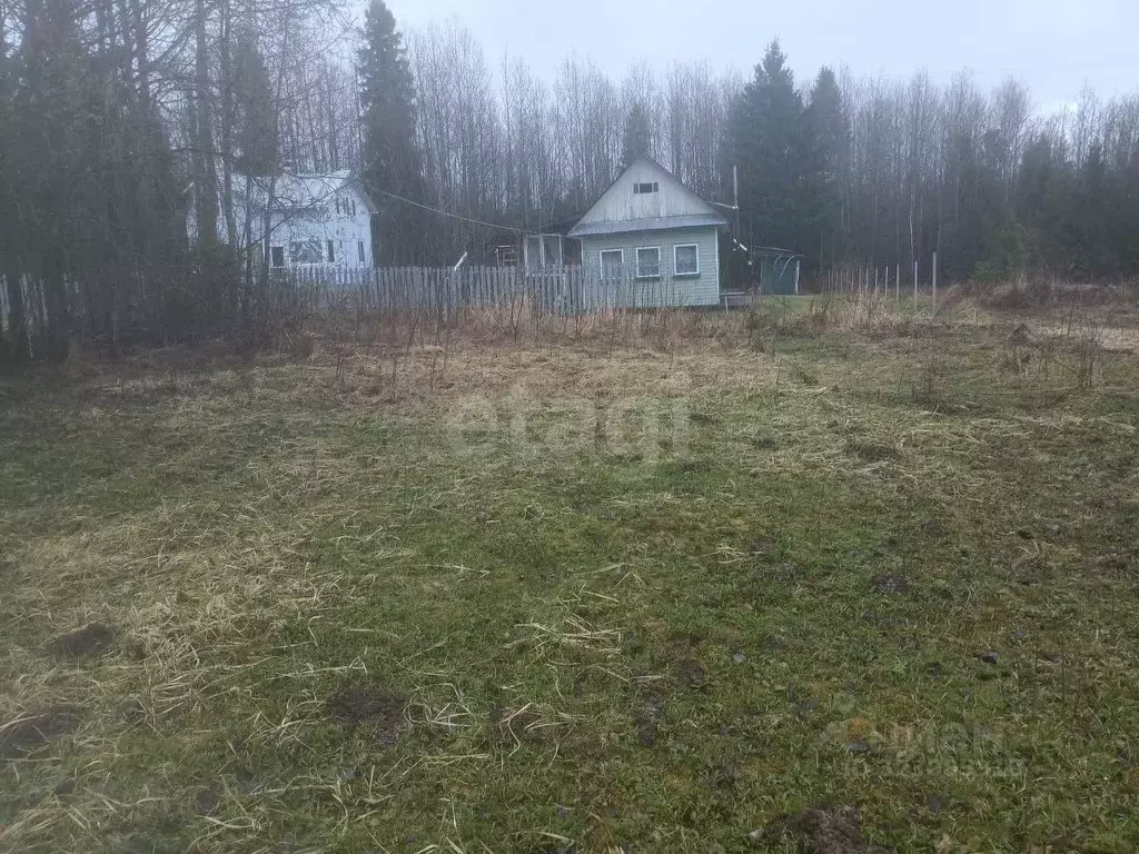 Участок в Вологодская область, Шограш садоводческое товарищество ул. ... - Фото 1