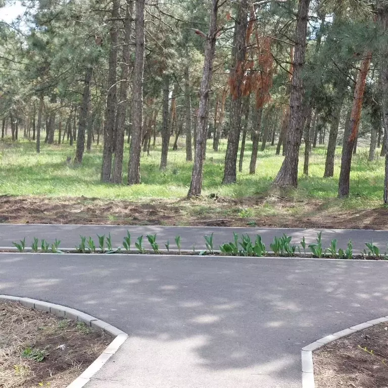Участок 8 сот. (ИЖС) - Фото 1