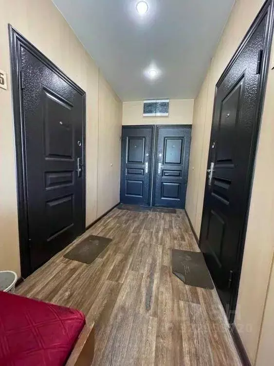 1-к кв. Иркутская область, Иркутск Земляничный пер., 2/1 (35.0 м) - Фото 1