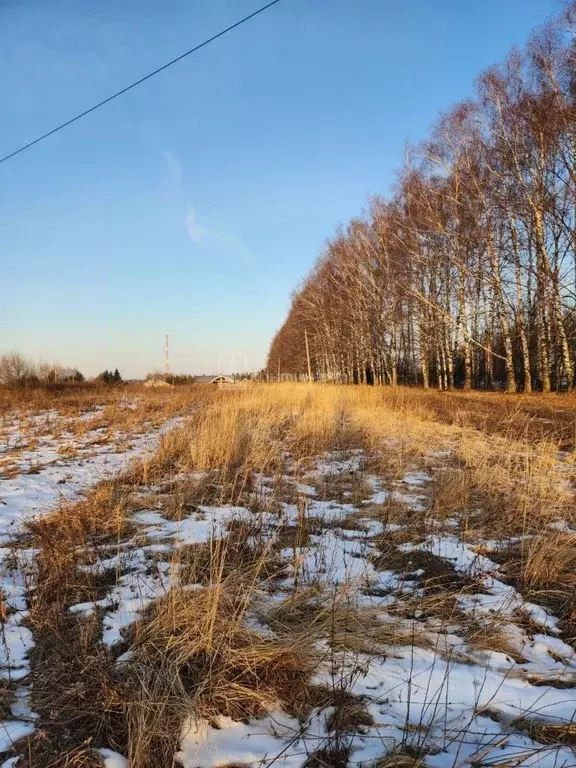Участок в Владимирская область, Суздальский район, с. Новоалександрово ... - Фото 1