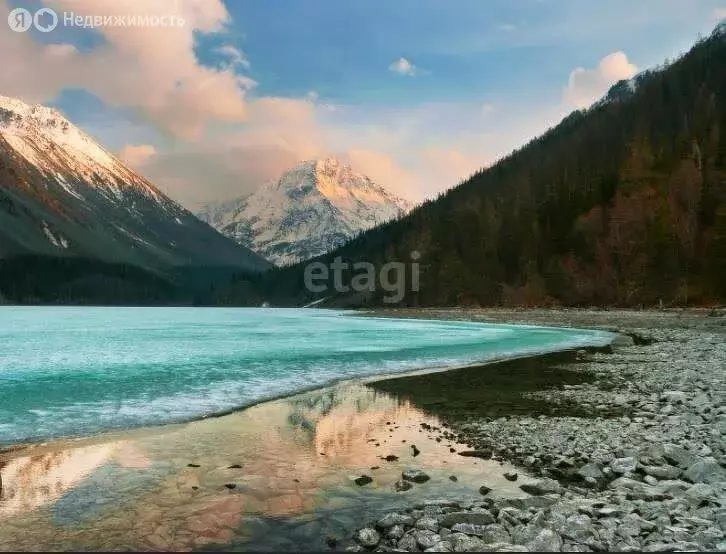 Участок в Усть-Коксинский район, посёлок Кучерла, улица Ленина (11.5 ... - Фото 1