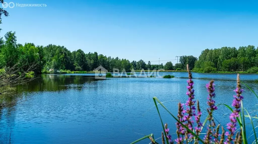 Участок в село Ямкино (6 м) - Фото 1