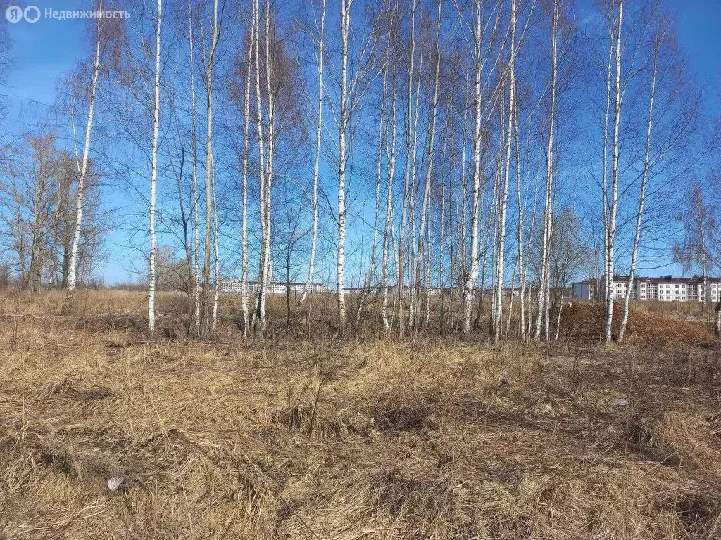 Участок в Муром, улица Зарубина (8.5 м) - Фото 1