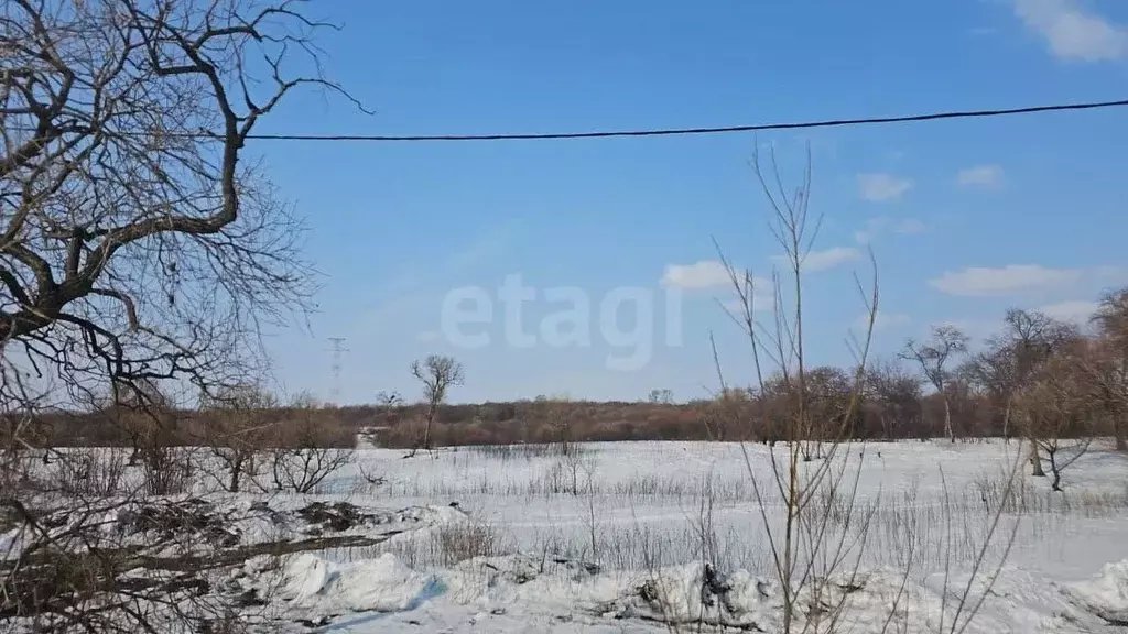 Участок в Амурская область, Благовещенский район, с. Усть-Ивановка  ... - Фото 0