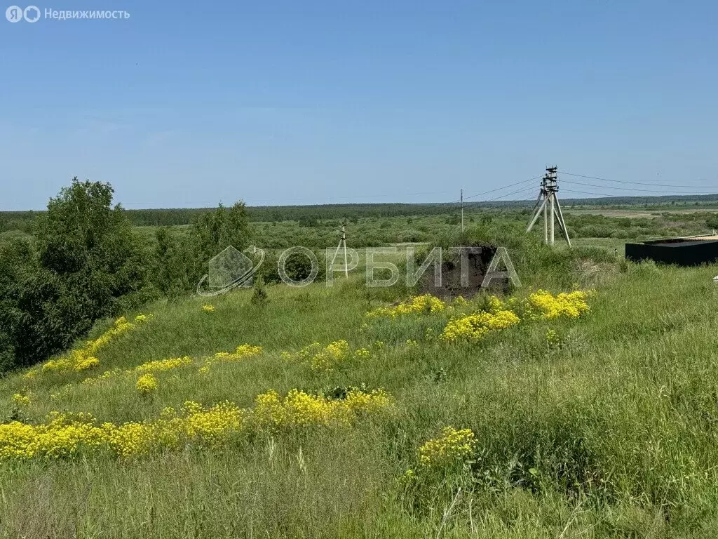 Участок в Тюменский район, село Кулаково (10.2 м) - Фото 0