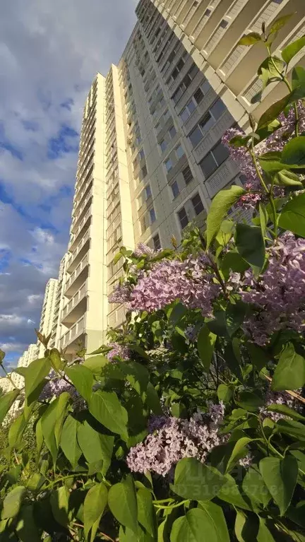 2-к кв. Московская область, Балашиха Железнодорожный мкр, ул. ... - Фото 0