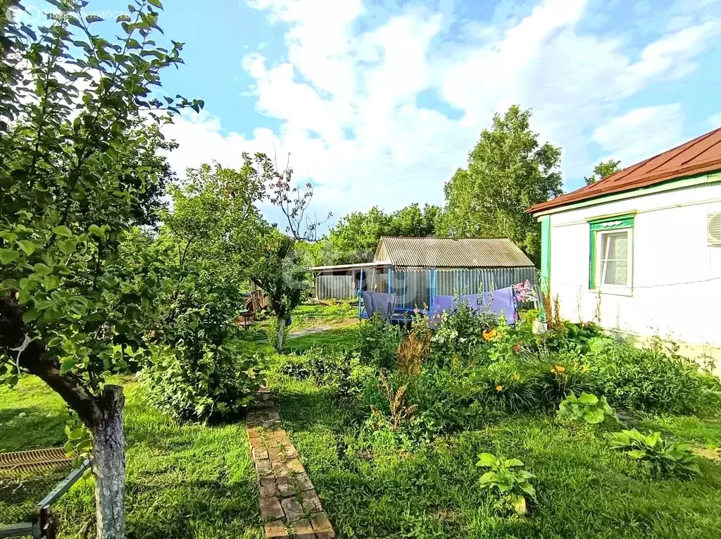 Дом в Белгородская область, Чернянский муниципальный округ, село ... - Фото 1