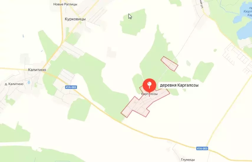 Участок в Волосовский район, Калитинское сельское поселение, деревня ... - Фото 1