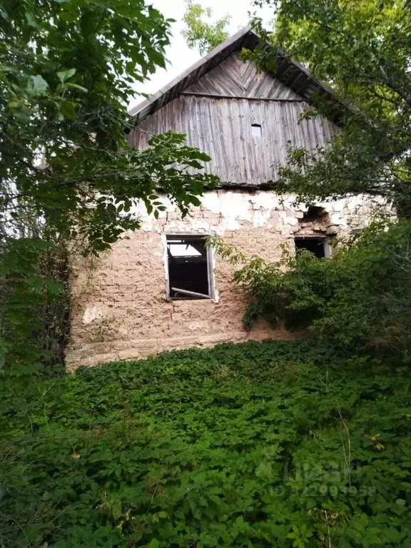 Участок в Псковская область, Островский район, Бережанская волость, д. ... - Фото 2