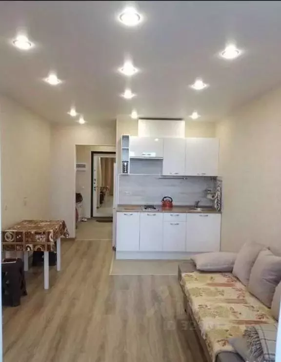 Студия Ленинградская область, Мурино Всеволожский район, просп. ... - Фото 2