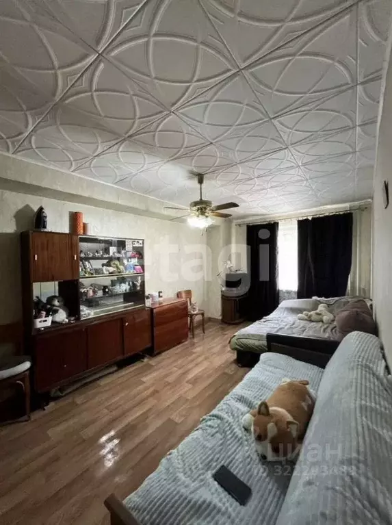 1-к кв. Крым, Алушта ул. Октябрьская (29.8 м) - Фото 2