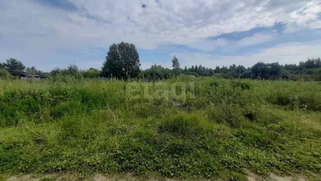 Участок в Смоленская область, Смоленский муниципальный округ, Дружба ... - Фото 1