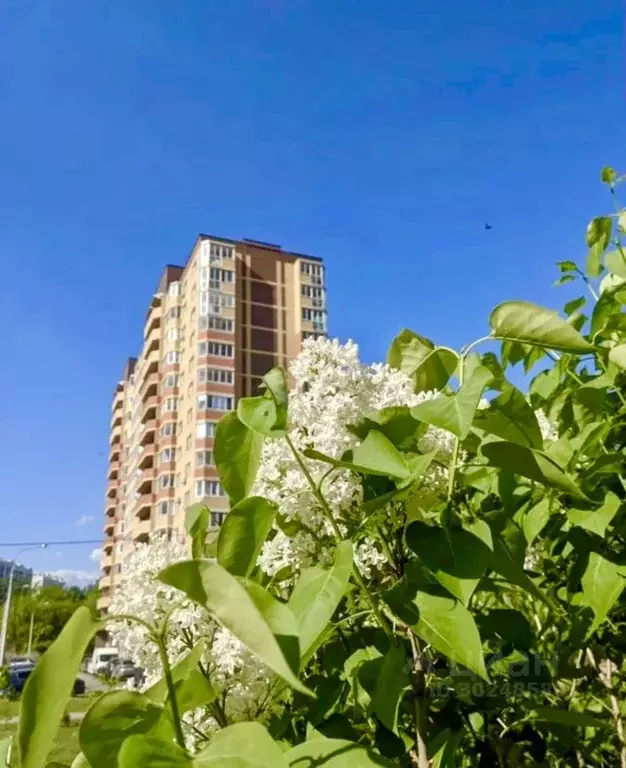 Студия Московская область, Подольск ул. Давыдова, 5 (35.0 м) - Фото 0