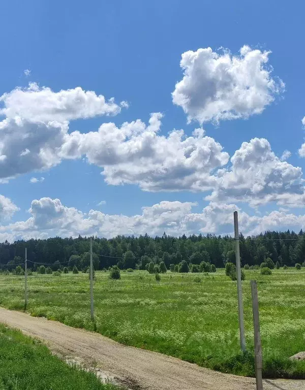 Участок в Ленинградская область, Тосненский район, Федоровское ... - Фото 1