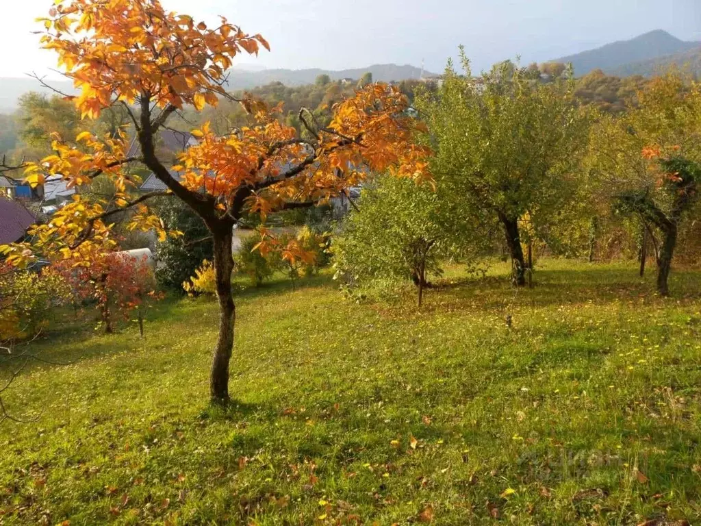 Участок в Краснодарский край, Сочи городской округ, с. Калиновое Озеро ... - Фото 1