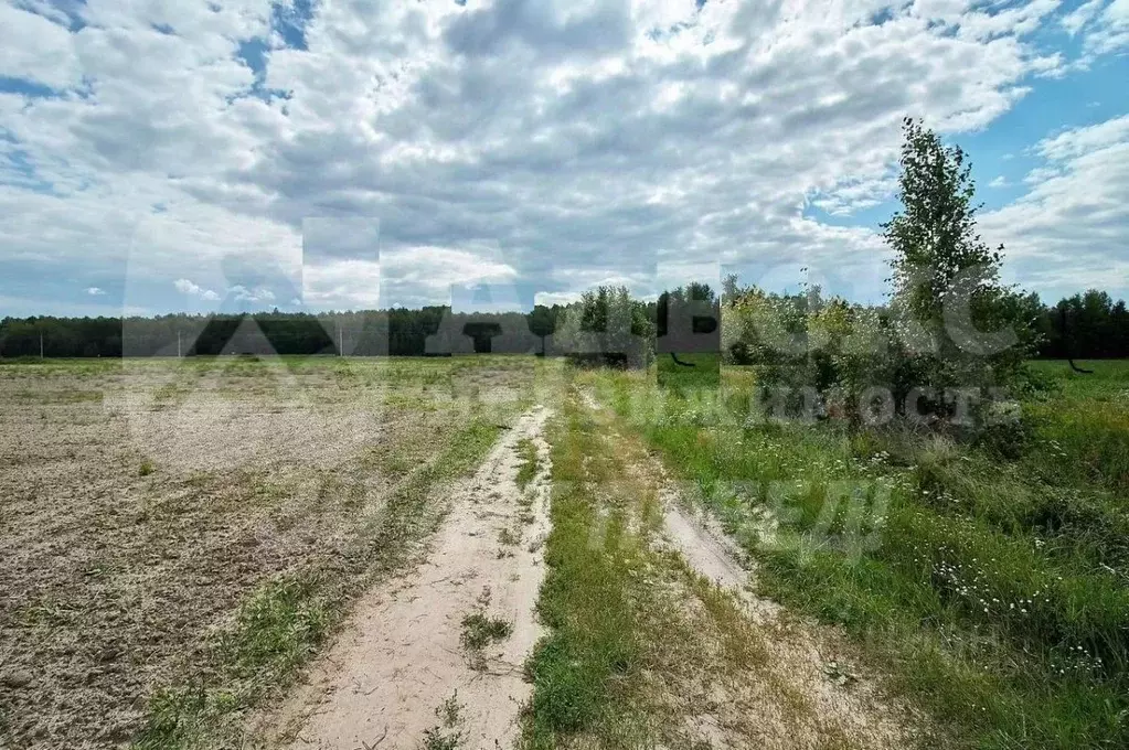 Участок в Тюменская область, Тюменский район, Воскресенье-1 ДНТ ул. ... - Фото 1