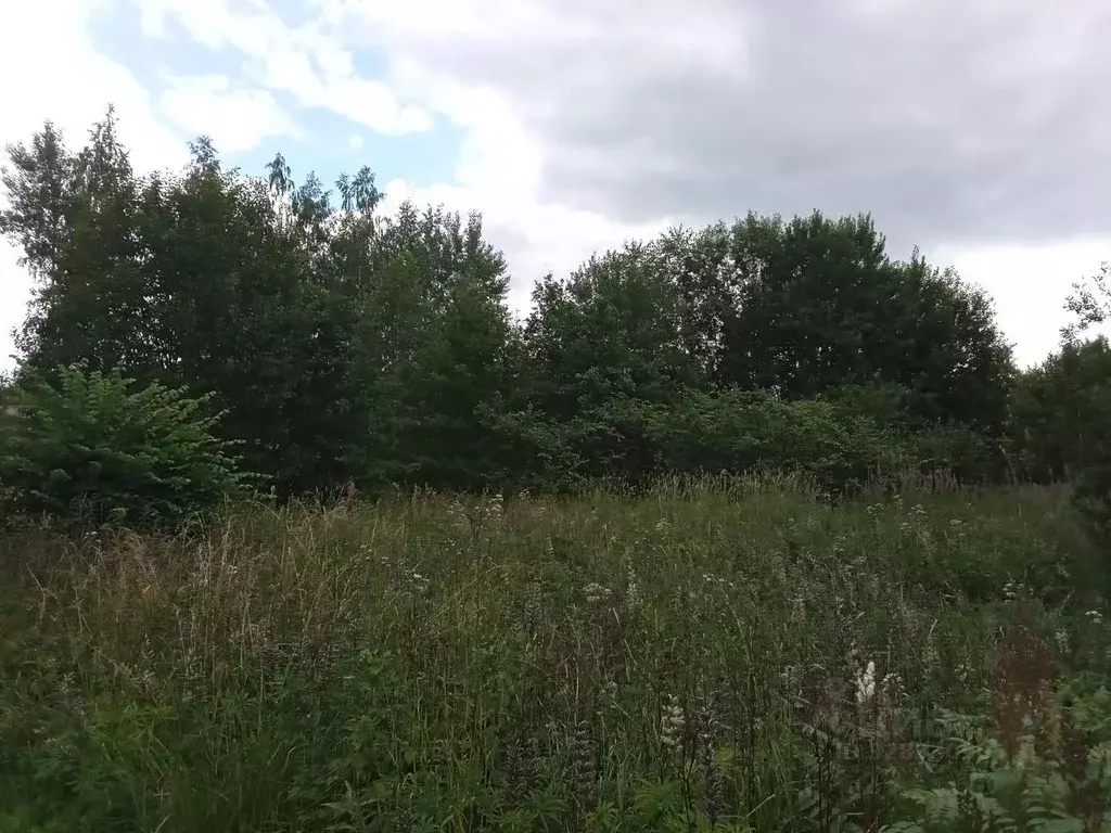 Участок в Ленинградская область, Лужский район, Заклинское с/пос, ... - Фото 1