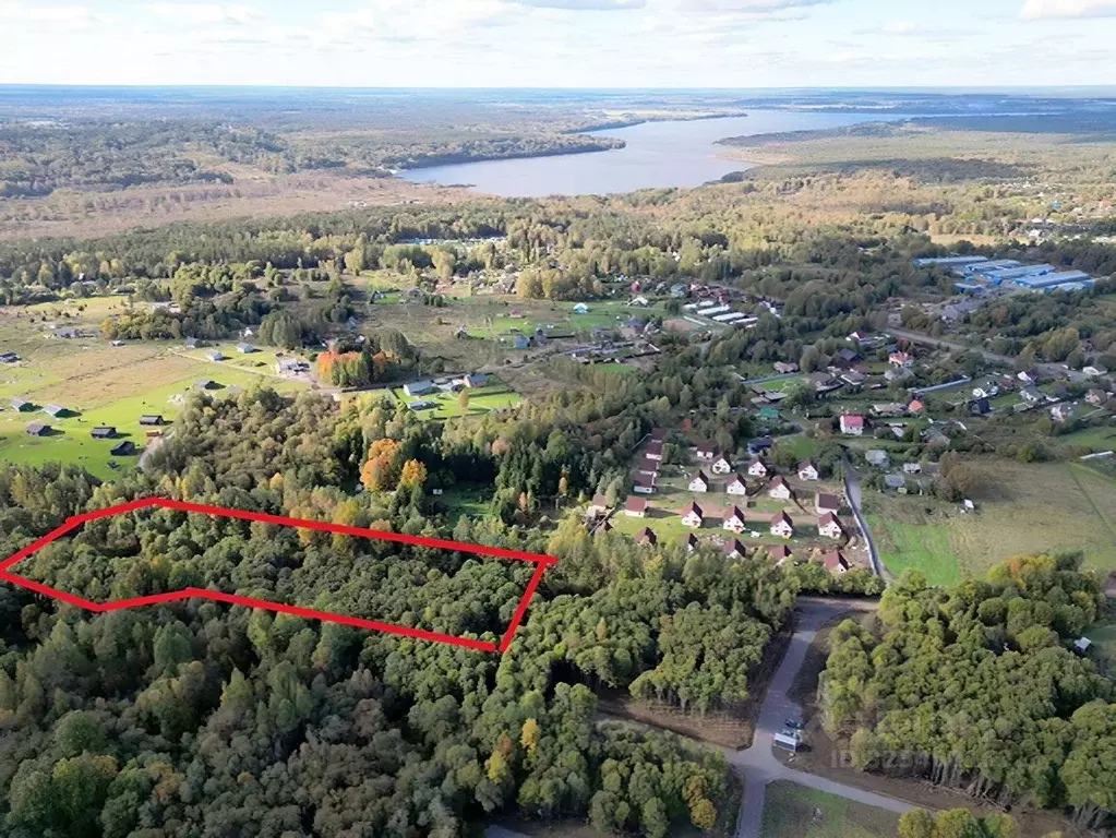 Участок в Ленинградская область, Приозерский район, Красноозерное ... - Фото 2