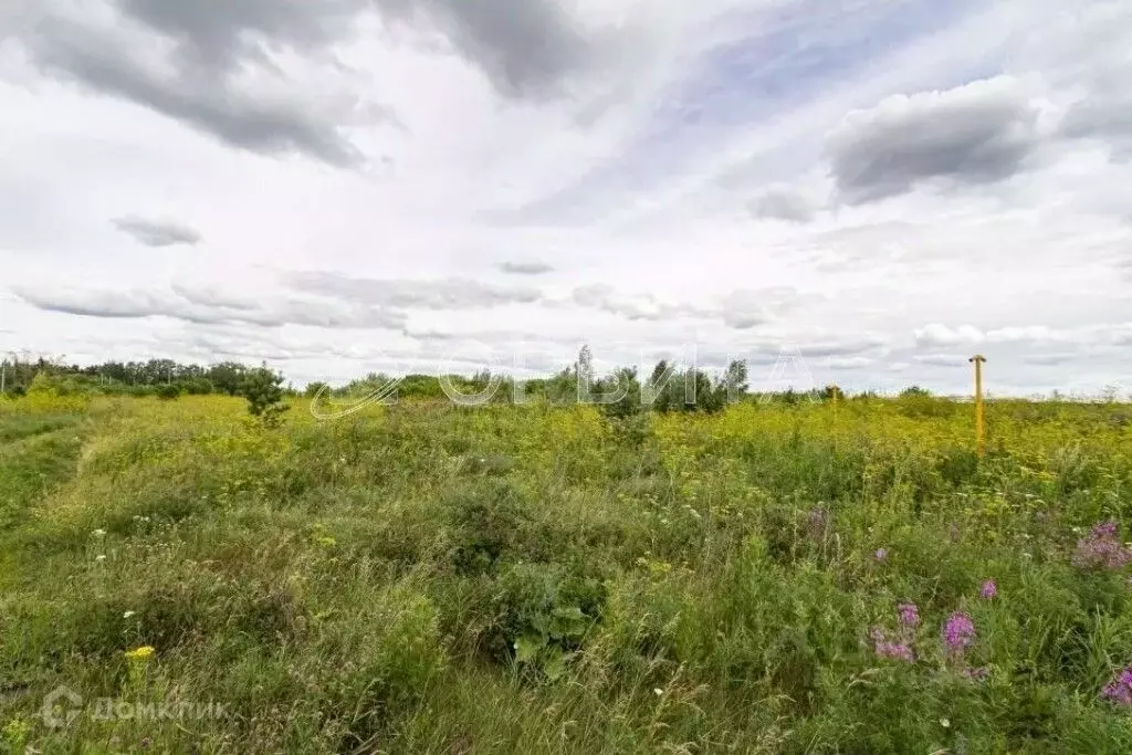 Участок в Тюменская область, Тюменский муниципальный округ, д. ... - Фото 1