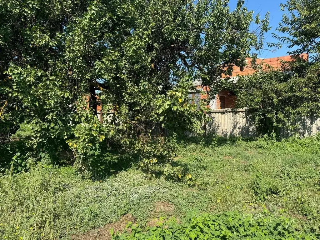 Участок в Краснодарский край, Анапа муниципальный округ, ... - Фото 2