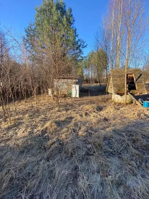Участок в Тверская область, Конаковский муниципальный округ, с. ... - Фото 2