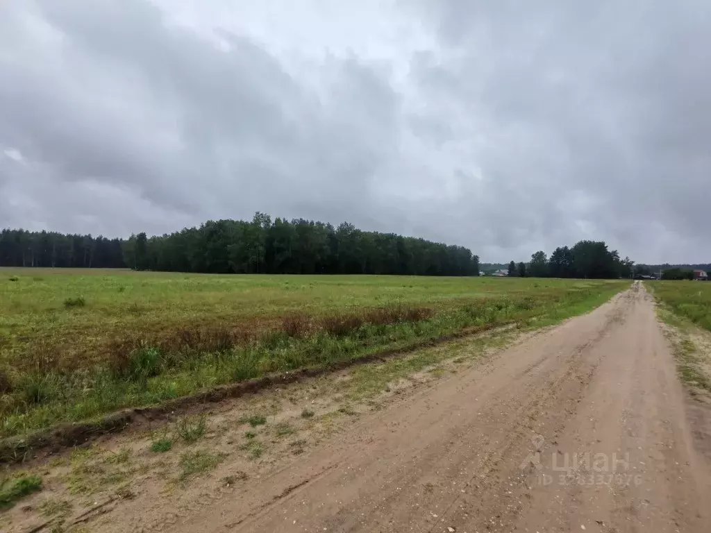 Участок в Московская область, Шатура муниципальный округ, д. Артемово  ... - Фото 2