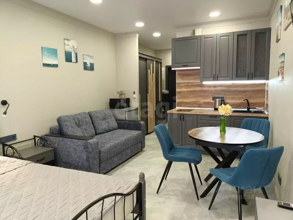 Студия Краснодарский край, Анапа проезд Золотой Берег, 2В (26.5 м) - Фото 1