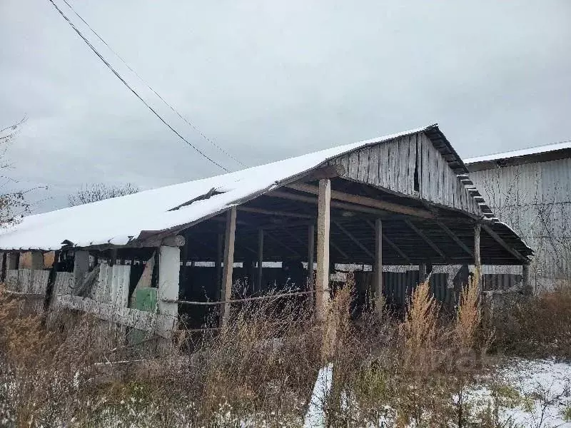Помещение свободного назначения в Нижегородская область, Сергачский ... - Фото 2