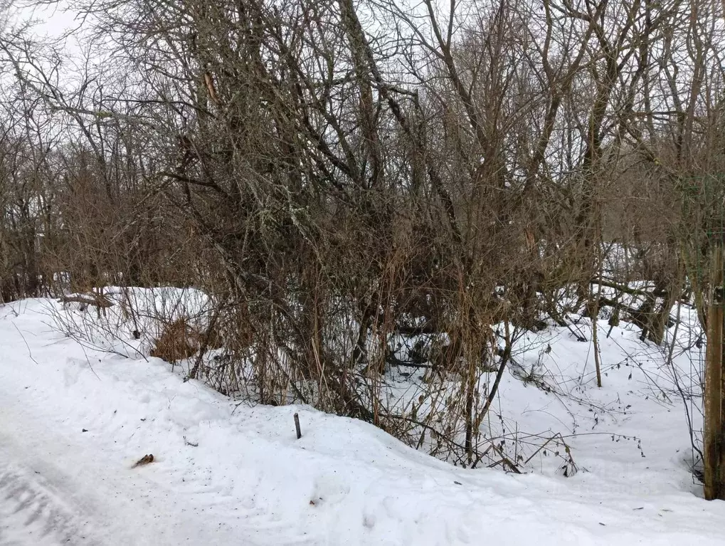 Участок в Московская область, Клин городской округ, д. Сметанино  ... - Фото 0