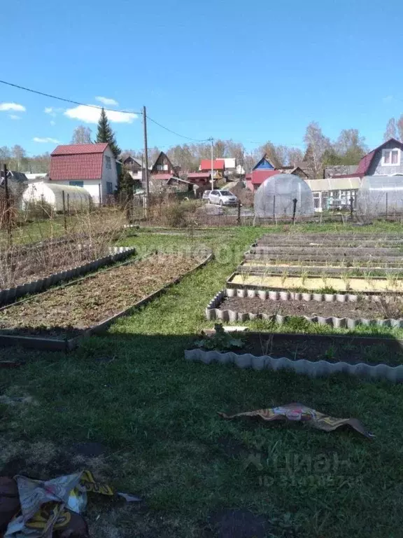 Участок в Новосибирская область, Мошковский район, с. Сокур Советская ... - Фото 1