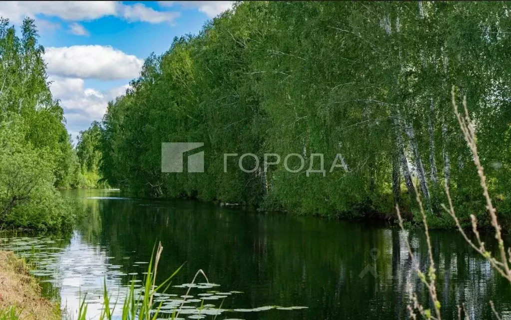 Участок в Новосибирская область, Новосибирский район, Кудряшовский ... - Фото 1