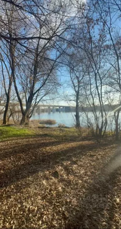 Участок в Московская область, Коломна городской округ, с. Коробчеево ... - Фото 0