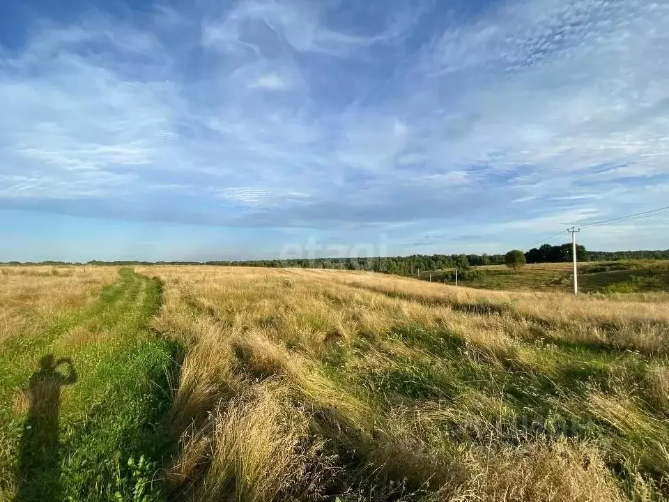 Участок в Брянская область, Сельцо Первомайский мкр,  (880.0 сот.) - Фото 1